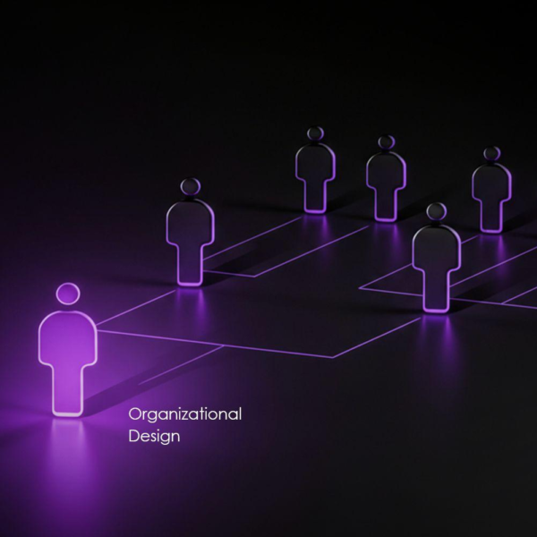 WhatsApp Image 2026-02-16 at 8.22.40 AM